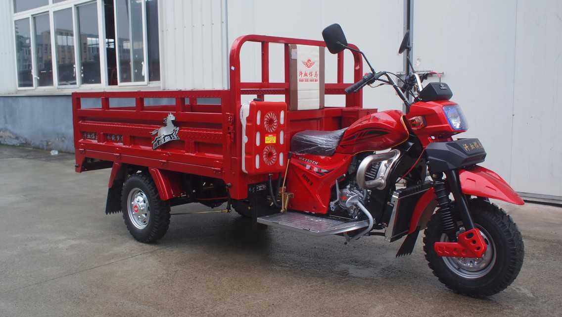 Gasolin cargo tricycle